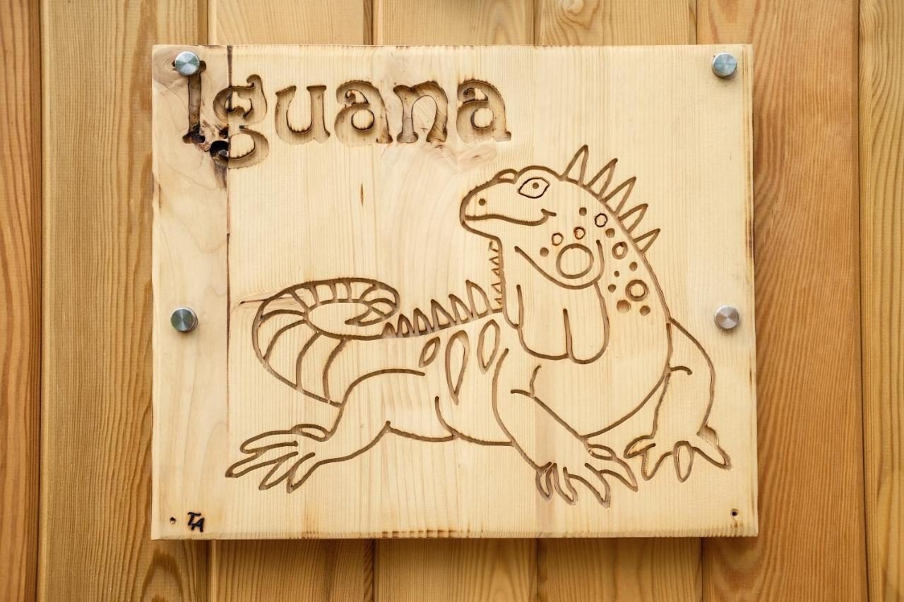 Iguana - Das Tiny Haus Am Reptilienzoo Reptilium Ландау ин дер Пфалц Екстериор снимка